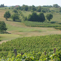 Земельный участок в Словении, Мост-на-Сочи