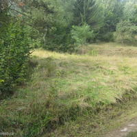 Земельный участок в Словении, Мост-на-Сочи