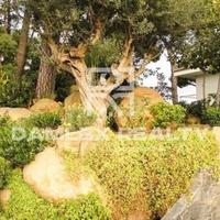 House in Spain, Catalunya, Girona, 300 sq.m.