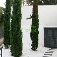 House in Spain, Catalunya, Begur