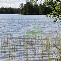 Земельный участок на первой линии моря/озера в Финляндии, Южная Карелия, Лаппенранта