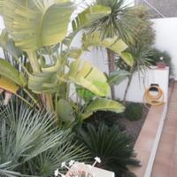 House in Spain, Catalunya, Begur