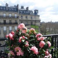Apartment in France, Paris 15 Vaugirard
