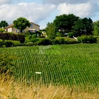 Отель (гостиница) во Французской Гвиане