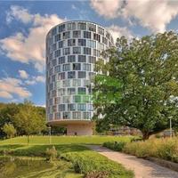 Квартира в Суринаме, Новый Амстердам