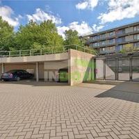 Квартира в Суринаме, Новый Амстердам