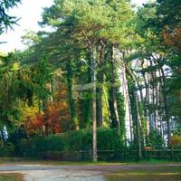 Вилла во Французской Гвиане