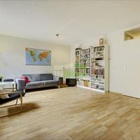 Квартира в Суринаме, Новый Амстердам