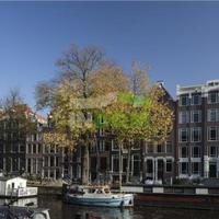 Дом в центре города в Суринаме, Новый Амстердам