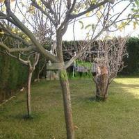 Дом в Испании, Каталония, Жирона