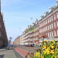 Квартира в Суринаме, Новый Амстердам