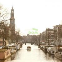 Квартира в Суринаме, Новый Амстердам