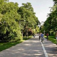 Квартира в Испании, Валенсия, 194 кв.м.