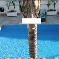 Villa in Spain, Comunitat Valenciana, 297 sq.m.