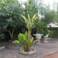 Вилла в Испании, Валенсия, 165 кв.м.