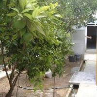 Villa in Spain, Comunitat Valenciana, 280 sq.m.