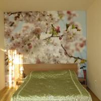 Квартира в Болгарии, Солнечный Берег, 65 кв.м.