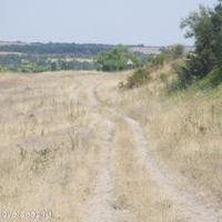 Land plot in Bulgaria, Elkhovo