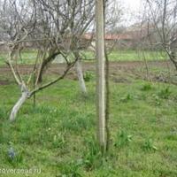 House in Bulgaria, Elkhovo
