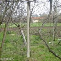 House in Bulgaria, Elkhovo