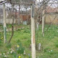 House in Bulgaria, Elkhovo