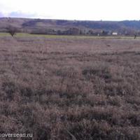 Land plot in Bulgaria, Elkhovo