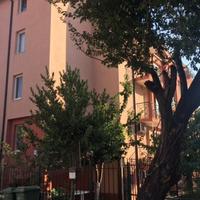 Квартира в Болгарии, Бургасская область, Елените, 38 кв.м.