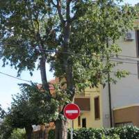 Flat in Bulgaria, Burgas Province, 122 sq.m.