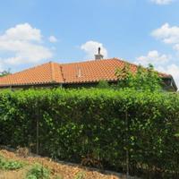 Вилла в Болгарии, Елхово, 90 кв.м.