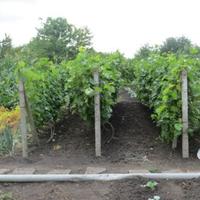 Вилла в Болгарии, Елхово, 70 кв.м.