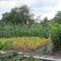 Вилла в Болгарии, Елхово, 70 кв.м.