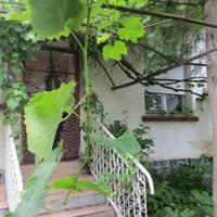 Вилла в Болгарии, Елхово, 60 кв.м.