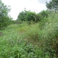 Вилла в Болгарии, Елхово, 60 кв.м.