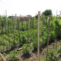 Вилла в Болгарии, Елхово, 168 кв.м.