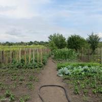 Вилла в Болгарии, Елхово, 120 кв.м.