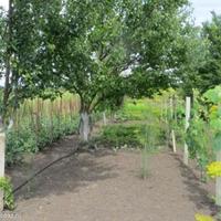 Вилла в Болгарии, Елхово, 120 кв.м.