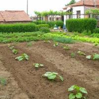 Villa in Bulgaria, Elkhovo, 70 sq.m.