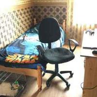 Квартира в Болгарии, Бургасская область, Елените, 55 кв.м.