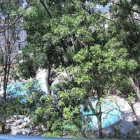 Flat in Bulgaria, Sunny Beach, 65 sq.m.