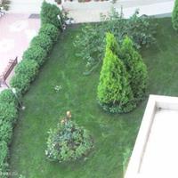 Flat in Bulgaria, Sunny Beach, 65 sq.m.