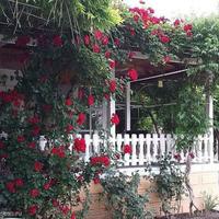 Дом в Болгарии, Елхово, 264 кв.м.