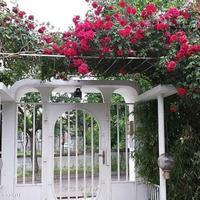 Дом в Болгарии, Елхово, 264 кв.м.