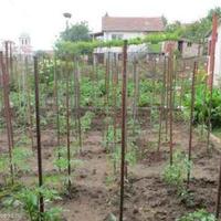 Вилла в Болгарии, Елхово, 65 кв.м.