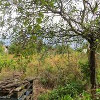 House in Bulgaria, Elkhovo, 100 sq.m.