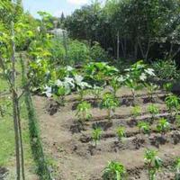 House in the suburbs in Bulgaria, Burgas Province, Nesebar, 181 sq.m.