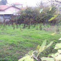 Дом в Болгарии, Бургасская область, Елените, 96 кв.м.