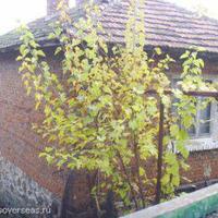 Дом в Болгарии, Бургасская область, Елените, 96 кв.м.