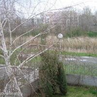 Flat in Bulgaria, Sunny Beach