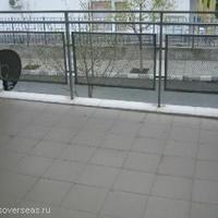 Flat in Bulgaria, Sunny Beach