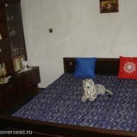 Дом в Болгарии, Бургасская область, Елените